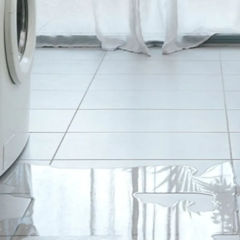 Appliance Leak Cleanup in Glynn County, GA