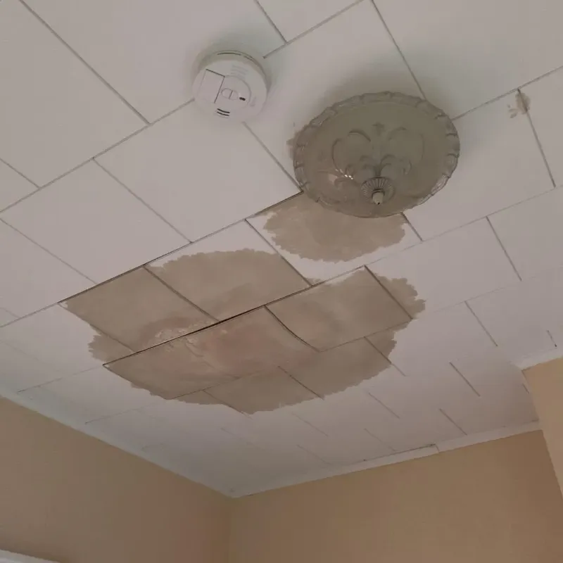 Ceiling Water Damage Repair in Glynn County, GA