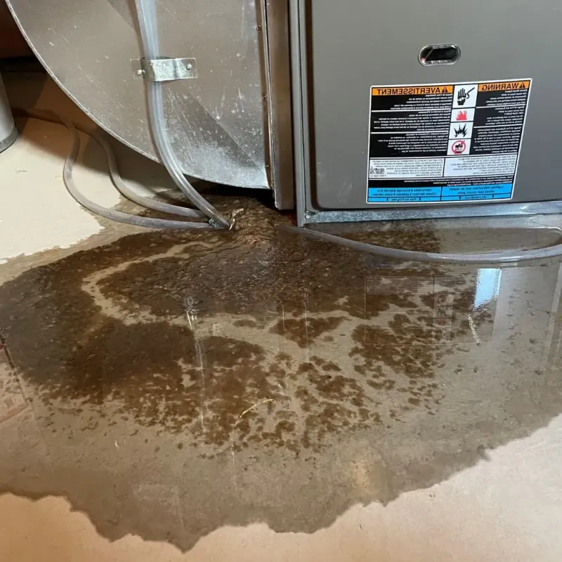 Pipe Burst and Leak Restoration in Glynn County, GA