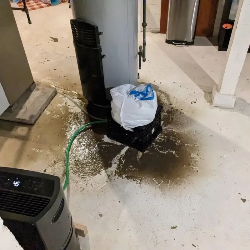 Sewage Backup Cleanup Service in Glynn County, GA